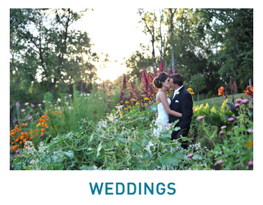 Wedding Photography - Henry Photography